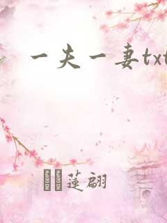 一夫一妻txt