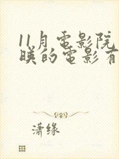 11月电影院上映的电影有哪些