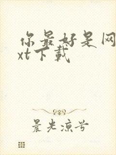 你最好是网盘txt下载