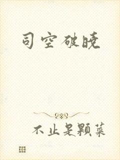 司空破晓