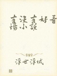 有没有好看的职场小说