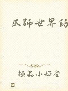 巫师世界的法师