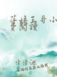 萍姨王哥小说免费阅读