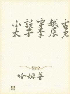 小说穿越古代当太子李辰免费阅读