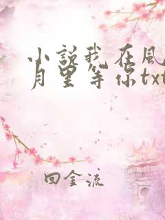 小说我在风花雪月里等你txt
