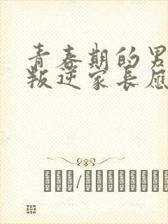 青春期的男孩子叛逆家长应该怎么做