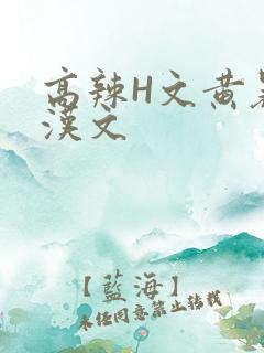 高辣H文黄暴糙汉文