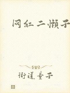 网红二懒子车祸