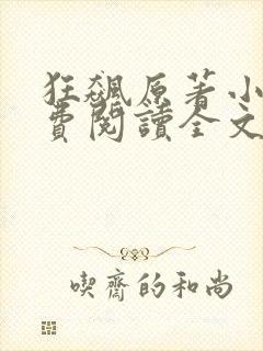 狂飙原著小说免费阅读全文无删减