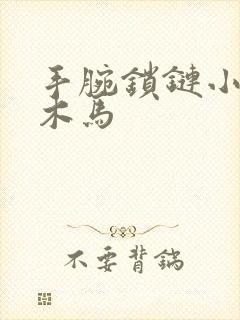 手腕锁链小黑屋木马