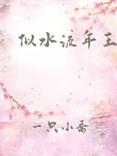 似水流年王小波