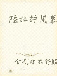 陆北柠周慕深