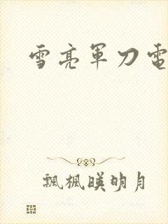 雪亮军刀电视剧