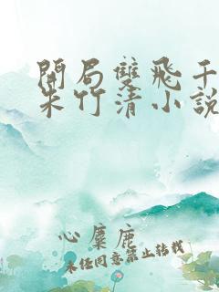 开局双飞千仞雪朱竹清小说