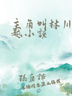 主角叫林川的穿越小说