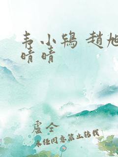 韦小鸨 赵旭李晴晴