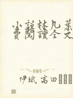 小说林凡叶惜免费阅读全文最新章节