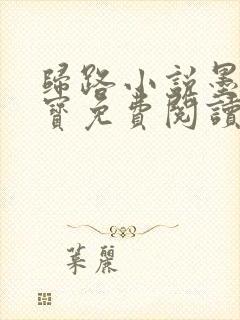 归路小说墨宝非宝免费阅读无删减