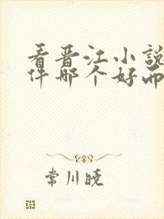 看晋江小说的软件哪个好而且免费