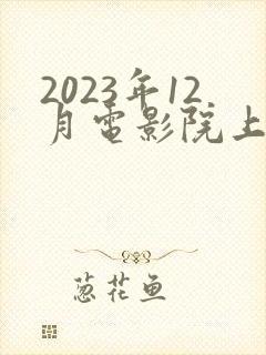 2023年12月电影院上映的电影
