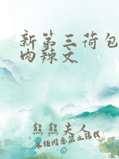 新第三荷包高h肉辣文