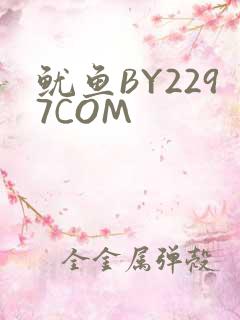 鱿鱼BY2297COM