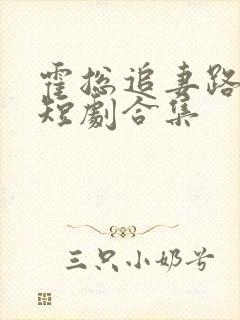 霍总追妻路漫漫短剧合集