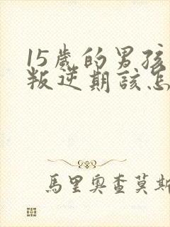 15岁的男孩子叛逆期该怎么沟通