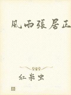 风雨张居正下载