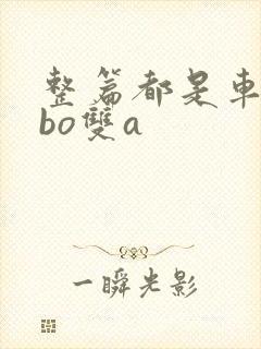 整篇都是车的abo双a