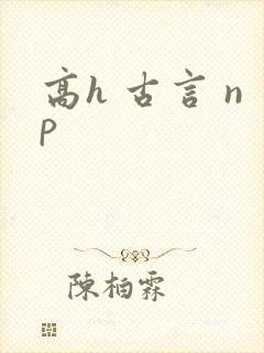 高h 古言 np