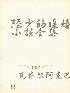 陆少的暖婚新妻小说全集