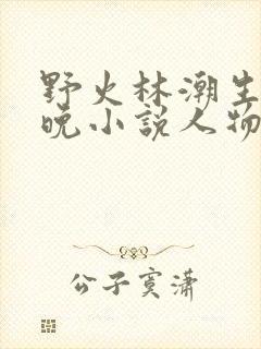 野火林潮生林晚晚小说人物野火