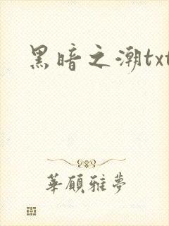 黑暗之潮txt