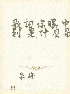 歌词你眼中都看到 是什么歌