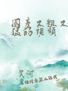 国产又粗又爽又猛的视频