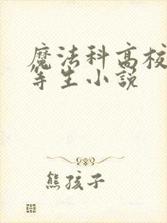 魔法科高校的劣等生小说