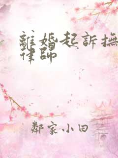 离婚起诉抚养权律师