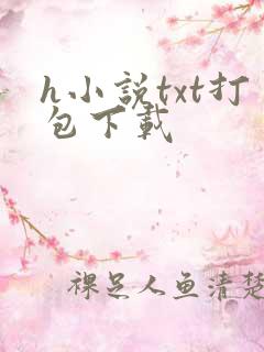 h小说txt打包下载