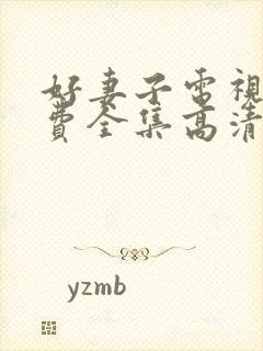 好妻子电视剧免费全集高清在线观看