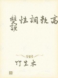 双性调教高黄小说