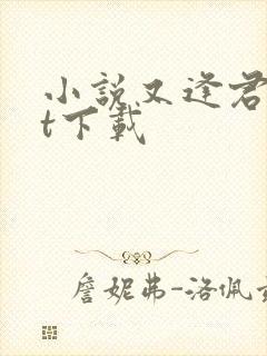 小说又逢君txt下载