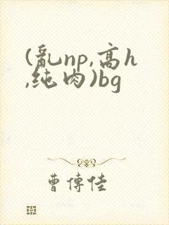 (乱np,高h,纯肉)bg