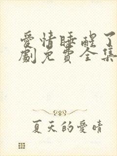 爱情睡醒了电视剧免费全集