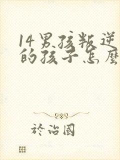 14男孩叛逆期的孩子怎么去引导