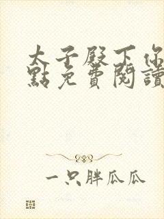 太子殿下你正经点免费阅读