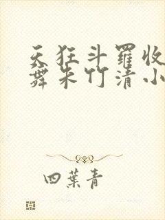 天狂斗罗收服小舞朱竹清小说