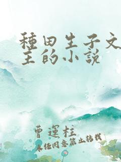 种田生子文双男主的小说