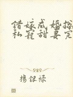 错嫁成婚总裁的私宠甜妻完整版