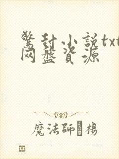 惊封小说txt网盘资源